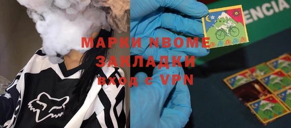 прущие грибы Осинники