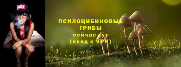 прущие грибы Осинники
