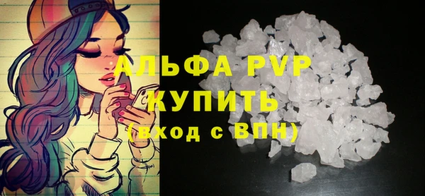 прущие грибы Осинники