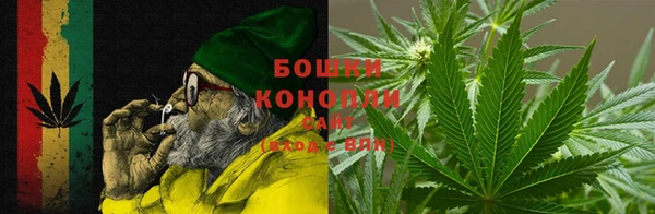 прущие грибы Осинники