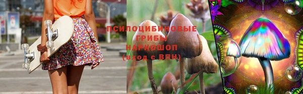 2c-b Пересвет