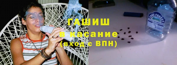 прущие грибы Осинники