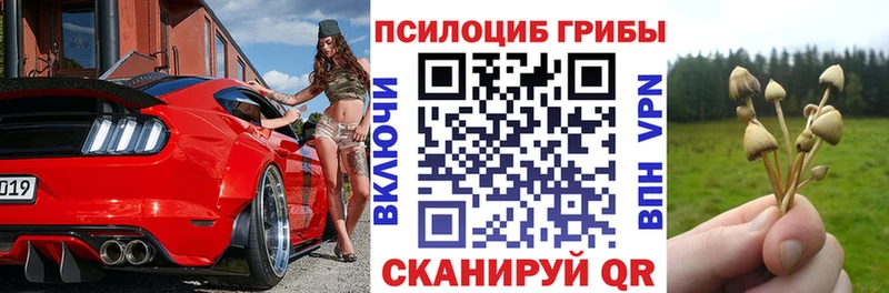 закладка Суоярви Псилоцибиновые грибы Magic Shrooms